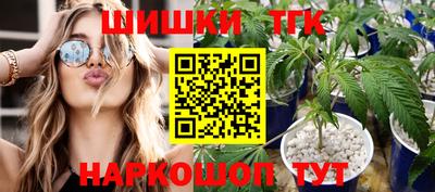 гашик Аргун