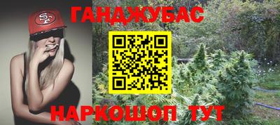 меф Гатчина