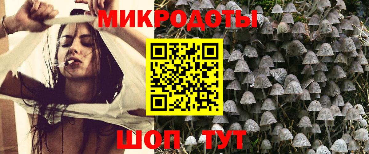 Псилоцибиновые грибы мицелий Еманжелинск